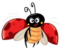 ladybug image